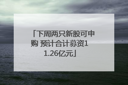 下周两只新股可申购 预计合计募资11.26亿元
