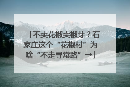 不卖花椒卖椒芽？石家庄这个“花椒村”为啥“不走寻常路”→