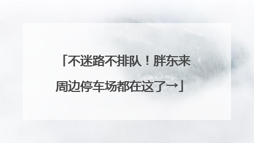 不迷路不排队！胖东来周边停车场都在这了→