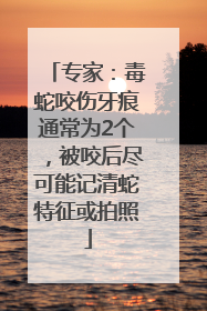 专家：毒蛇咬伤牙痕通常为2个，被咬后尽可能记清蛇特征或拍照