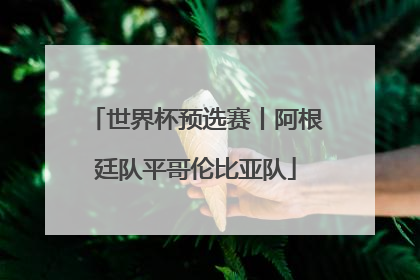 世界杯预选赛丨阿根廷队平哥伦比亚队
