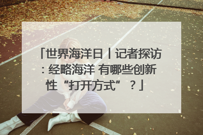 世界海洋日丨记者探访：经略海洋 有哪些创新性“打开方式”？