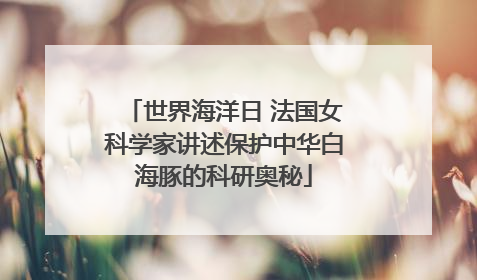 世界海洋日 法国女科学家讲述保护中华白海豚的科研奥秘
