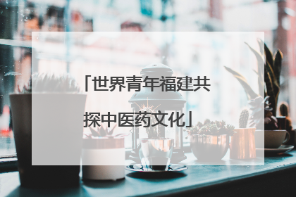 世界青年福建共探中医药文化