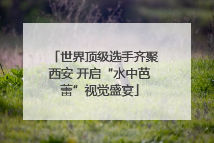 世界顶级选手齐聚西安 开启“水中芭蕾”视觉盛宴
