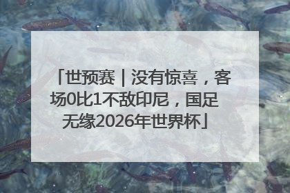 世预赛｜没有惊喜，客场0比1不敌印尼，国足无缘2026年世界杯