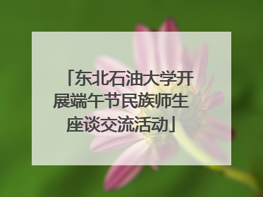 东北石油大学开展端午节民族师生座谈交流活动