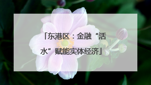 东港区：金融“活水”赋能实体经济