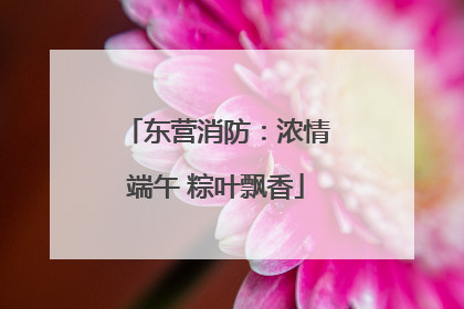 东营消防：浓情端午 粽叶飘香