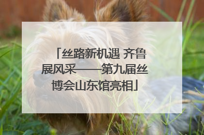 丝路新机遇 齐鲁展风采——第九届丝博会山东馆亮相