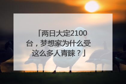 两日大定2100台，梦想家为什么受这么多人青睐？