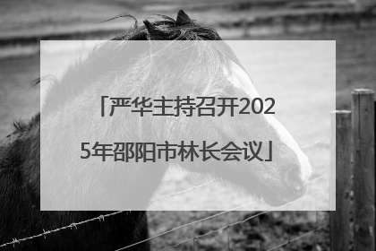 严华主持召开2025年邵阳市林长会议