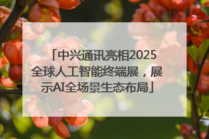 中兴通讯亮相2025全球人工智能终端展，展示AI全场景生态布局