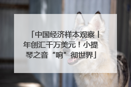 中国经济样本观察丨年创汇千万美元！小提琴之音“响”彻世界