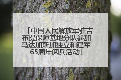 中国人民解放军驻吉布提保障基地分队参加马达加斯加独立和建军65周年阅兵活动