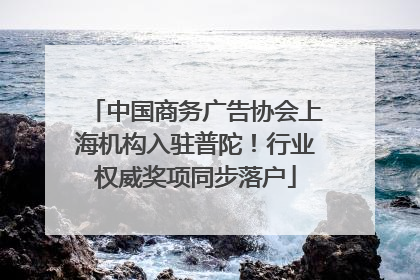 中国商务广告协会上海机构入驻普陀！行业权威奖项同步落户
