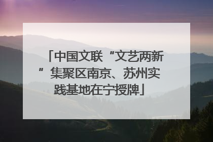 中国文联“文艺两新”集聚区南京、苏州实践基地在宁授牌