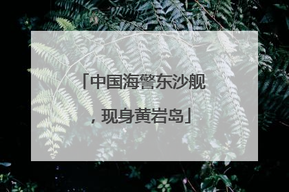 中国海警东沙舰，现身黄岩岛