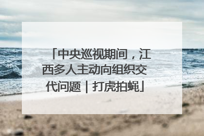 中央巡视期间，江西多人主动向组织交代问题｜打虎拍蝇