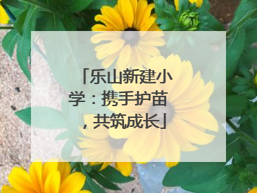 乐山新建小学：携手护苗，共筑成长