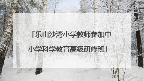 乐山沙湾小学教师参加中小学科学教育高级研修班