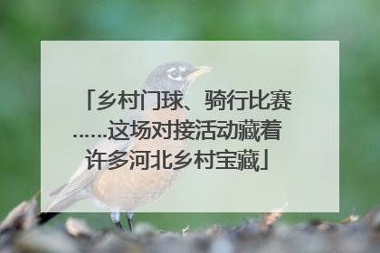 乡村门球、骑行比赛……这场对接活动藏着许多河北乡村宝藏