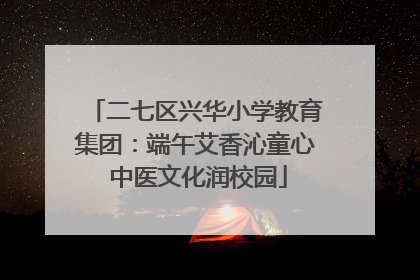二七区兴华小学教育集团：端午艾香沁童心 中医文化润校园