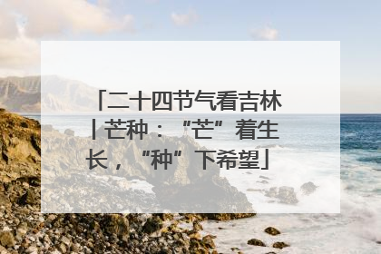 二十四节气看吉林丨芒种：“芒”着生长，“种”下希望