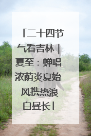 二十四节气看吉林｜夏至：蝉唱浓荫炎夏始 风携热浪白昼长