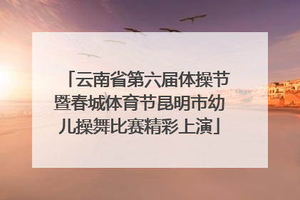 云南省第六届体操节暨春城体育节昆明市幼儿操舞比赛精彩上演