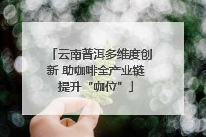 云南普洱多维度创新 助咖啡全产业链提升“咖位”