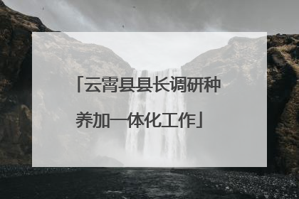 云霄县县长调研种养加一体化工作