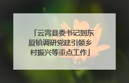 云霄县委书记到东厦镇调研党建引领乡村振兴等重点工作