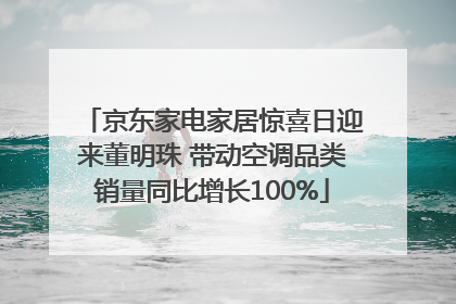 京东家电家居惊喜日迎来董明珠 带动空调品类销量同比增长100%