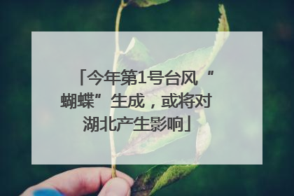 今年第1号台风“蝴蝶”生成，或将对湖北产生影响