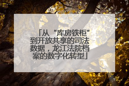 从“库房铁柜”到开放共享的司法数据，龙江法院档案的数字化转型