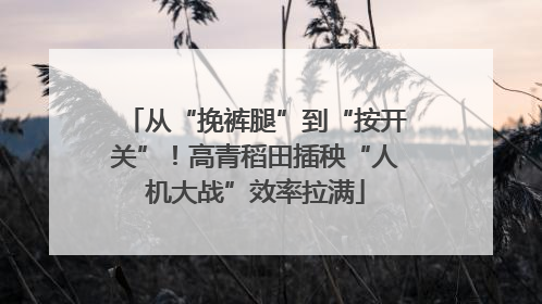 从“挽裤腿”到“按开关”！高青稻田插秧“人机大战”效率拉满