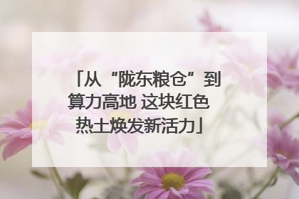 从“陇东粮仓”到算力高地 这块红色热土焕发新活力