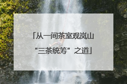从一间茶室观岚山“三茶统筹”之道