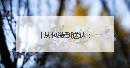 从包装到送达：FedEx重货托运全攻略，助力中小企业高效物流