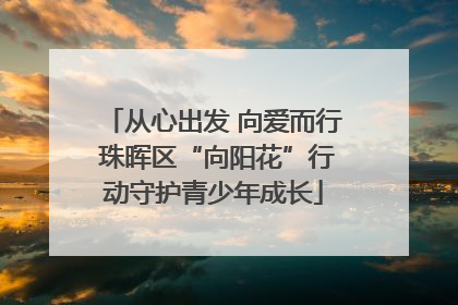 从心出发 向爱而行 珠晖区“向阳花”行动守护青少年成长