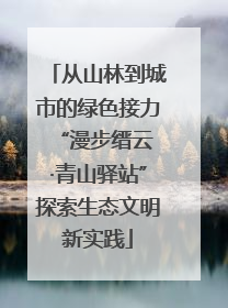 从山林到城市的绿色接力 “漫步缙云·青山驿站”探索生态文明新实践