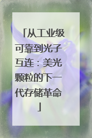 从工业级可靠到光子互连：美光颗粒的下一代存储革命