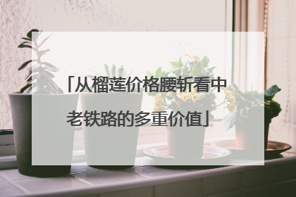 从榴莲价格腰斩看中老铁路的多重价值