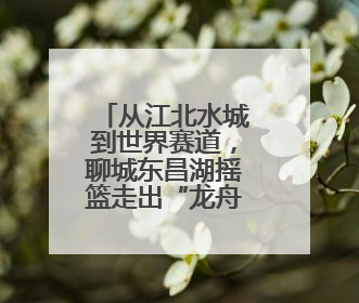 从江北水城到世界赛道，聊城东昌湖摇篮走出“龙舟梦之队”