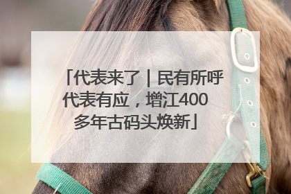 代表来了｜民有所呼代表有应，增江400多年古码头焕新