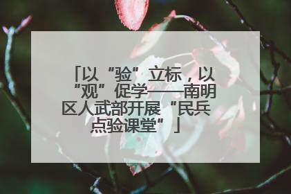 以“验”立标，以“观”促学——南明区人武部开展“民兵点验课堂”