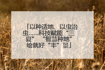 以种适地、以虫治虫……科技赋能“三夏” “智慧种地”绘就好“丰”景