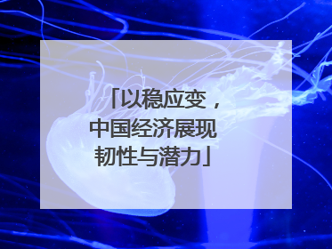 以稳应变，中国经济展现韧性与潜力