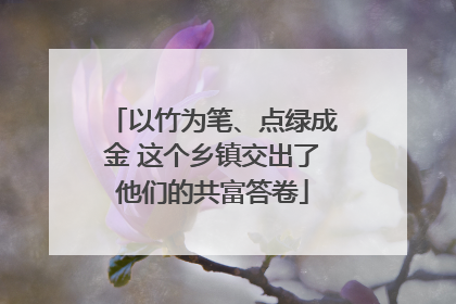 以竹为笔、点绿成金 这个乡镇交出了他们的共富答卷